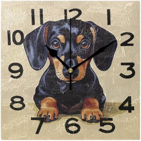 Dachshund Dog Sitting on Ground 8 Inch Square Wall Clock, Non Ticking Battery by Peystean