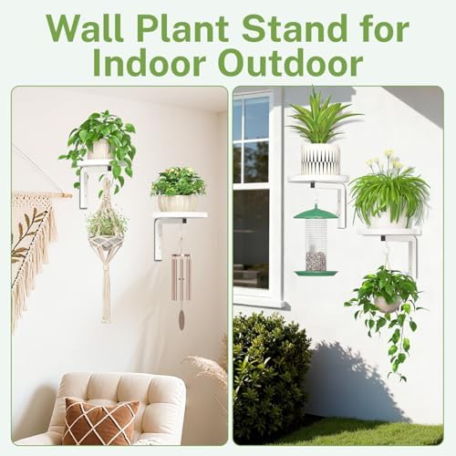 iDavosic.ly Plant Wall Hanger Holder Set of 2 - Image 5