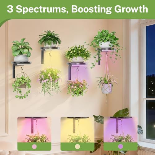 iDavosic.ly Plant Wall Hanger - Image 5