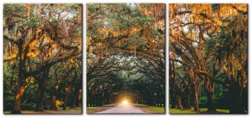 Pacimo 3 Pieces Autumn Landscape Wall Art Decor Fall Orange Hanging Tree Canopy by Pacimo