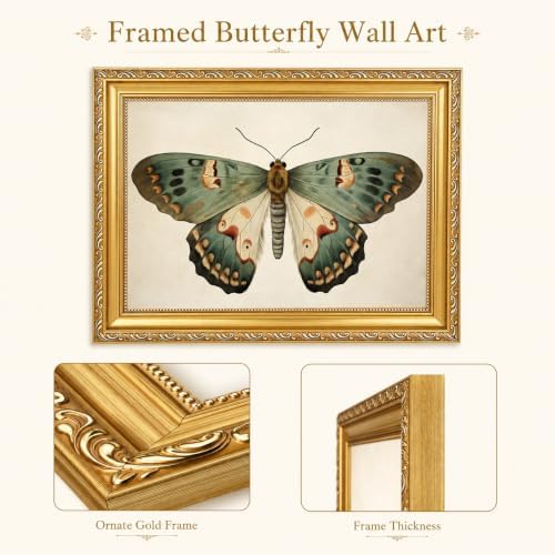 Vintage Butterfly Wall Art, 16x24 in - Image 3