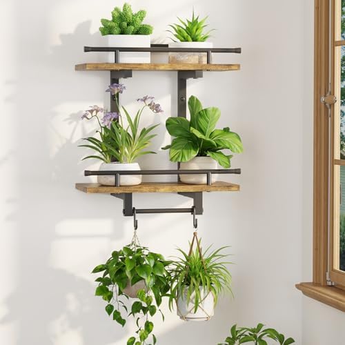 LASZOLA Floating Plant Shelves Holder Wall Mounted Indoor, 1 Pack Plant Hangers by LASZOLA