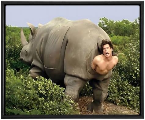 B.B.F MAKE Funny Comedy Movie Framed Canvas Wall Art by BBFMAKE