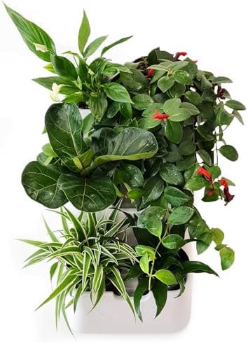 BOXSAND-6 Vertical Wall Planter – Living Wall by BOXSAND