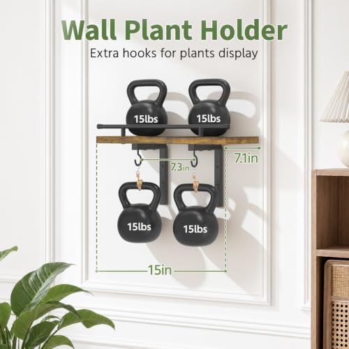 LASZOLA Wall Plant Shelves Floating Hanger Holder Indoor - Image 2