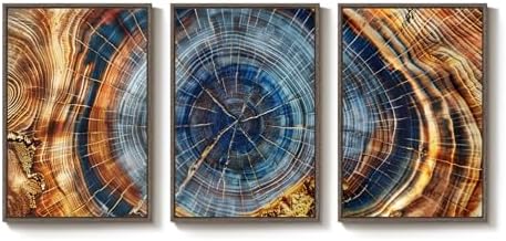 3 Piece Large Framed Colorful Tree Ring Wall Art - Image 6