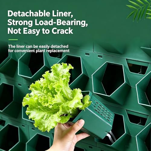 Living Wall Planter for Indoor Plants, Vertical Wall Planter System - Image 2