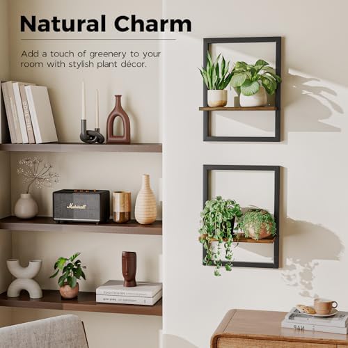 Bamworld Wall Plant Holder Hanging Planters - Image 3