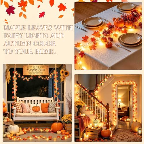 JMEXSUSS 48 LED Maple Leaf Lights, Battery Operated, 15.75 FT, Warm White - Image 3