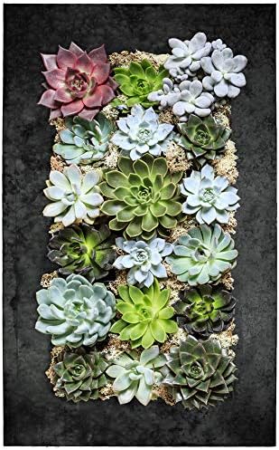 Modern Home Living Wall Galvanized Steel/Zinc Succulent Planter, Wall Mounted by Vandue