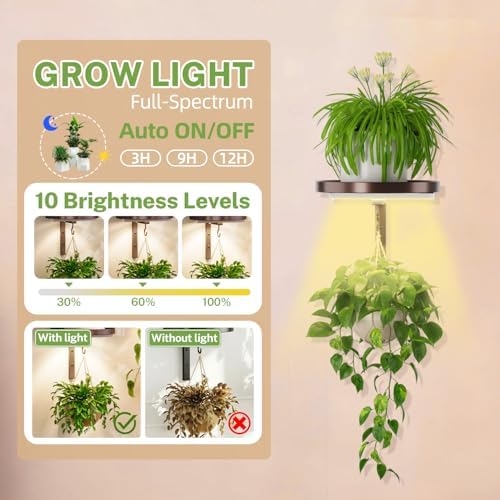 iDavosic.ly Plant Wall Hanger - Image 3