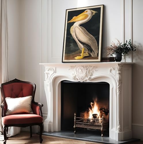 Poster Master Vintage John James Audubon Poster - Image 4