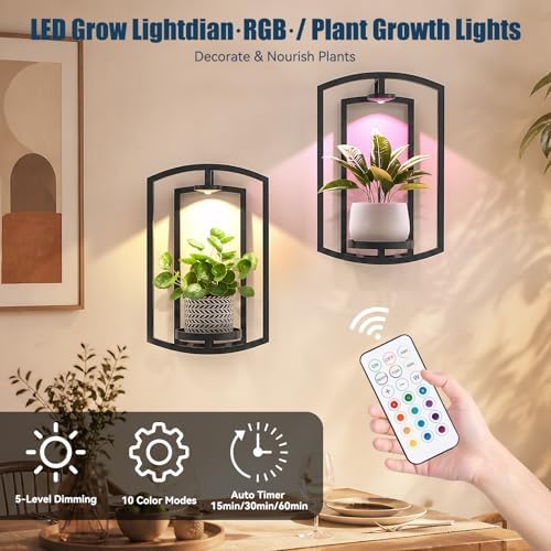 Wall Plant Holder with Remote Grow Lights, Framed Plants Holder - Image 3