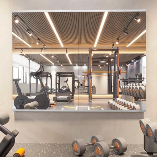 pertetey 48 x 30 in Home Gym Mirrors by PERTETEY