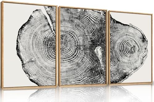 Aryroi Large Vintage Tree Ring Framed Canvas Wall Art Set- 16"x24"x3 - Image 5