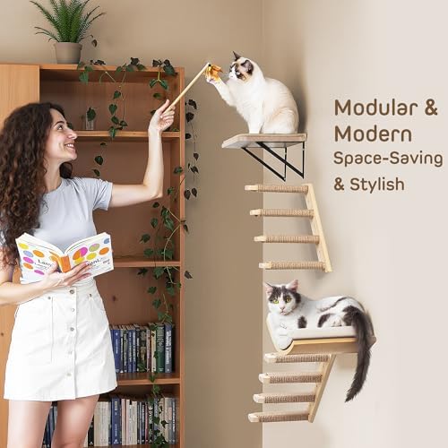 Wooden Cat Wall Steps Shelves Set, Wall Mounted Cats Shelves - Image 2