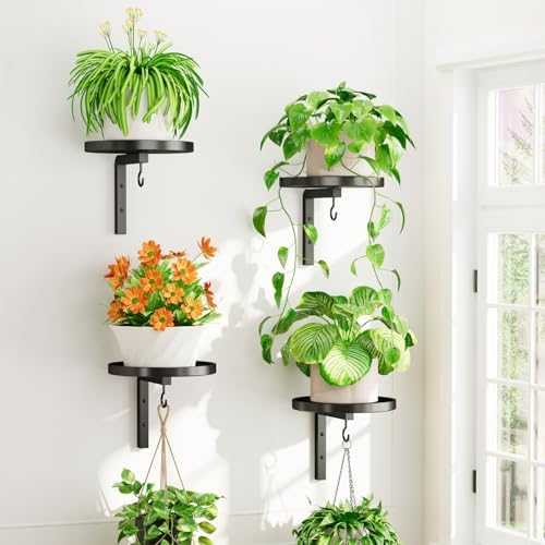 iDavosic.ly Plant Wall Hanger Holder Set of 4 by iDavosicly