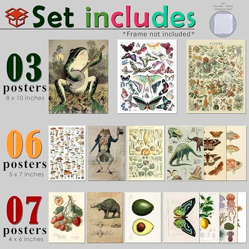 LANCHI95 16 Pcs Unframed Vintage Botanical Biology Art - Image 2