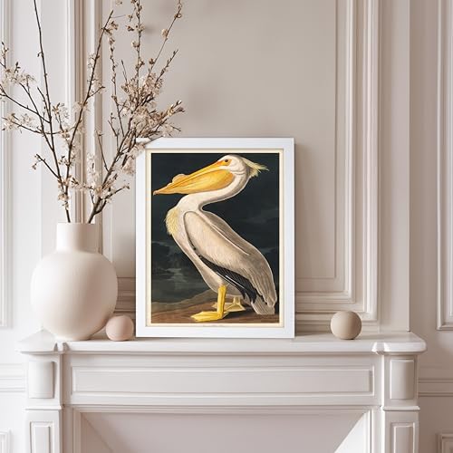 Poster Master Vintage John James Audubon Poster - Image 5