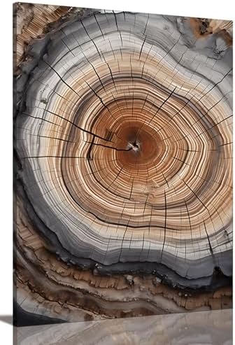 Tree Ring Wall Art Framed, Modern Nature Decor by IBHJSARTWallArt