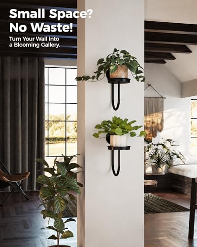 Bamworld Wall Plant Holder for Hanging Planters - Image 4