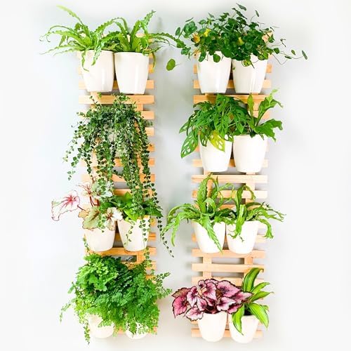 ShopLaLa Wall Planter Large Wooden Hanging Ladder Planters by ShopLaLa