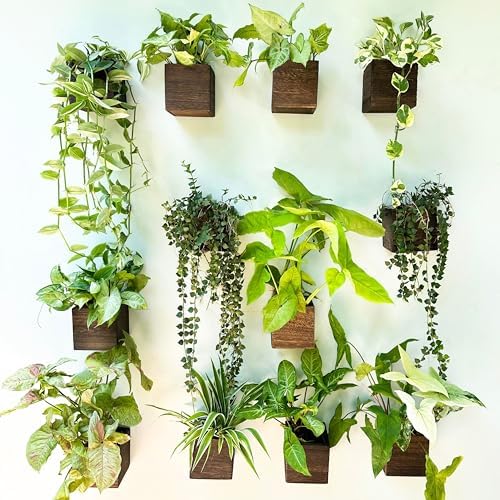 LaLaGreen Indoor Planter Box for Plants Wooden Wall Planters by L%C3%A1L%C3%A1Green