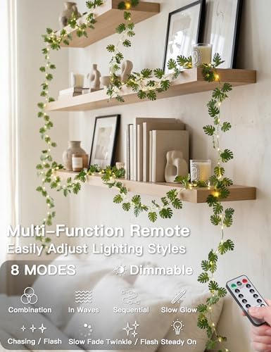 suddus 33FT Monstera Vines - Image 3