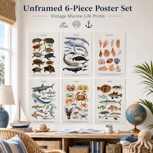 PeuYot Marine Life Wall Art, Unframed Canvas Posters, Vintage Sea Turtle Whale - Image 2