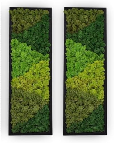 Large Moss Pattern Wall Art, Eco-Friendly Natural Green Wall Decor|Set of 2 by YERSIZ