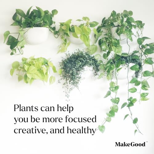 Make Good Virgo Wall Planters - Image 5