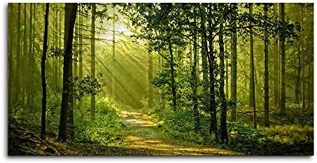 Green Morning Sunlight Forest Scenery Canvas Wall Art by Lasdel