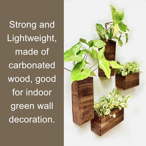 LaLaGreen Wooden Wall Planters Hanging Wood Planter Box - Image 5