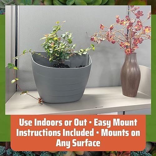 12 Inch Self-Watering Wall Planter - Image 6
