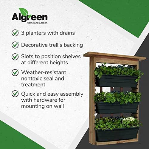 Algreen Wall Planter - Image 5