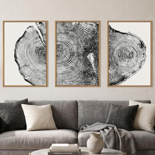 Aryroi Large Vintage Tree Ring Framed Canvas Wall Art Set- 16"x24"x3 by Aryroi