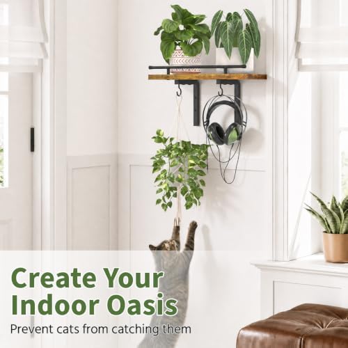LASZOLA Wall Plant Shelves Floating Hanger Holder Indoor - Image 5