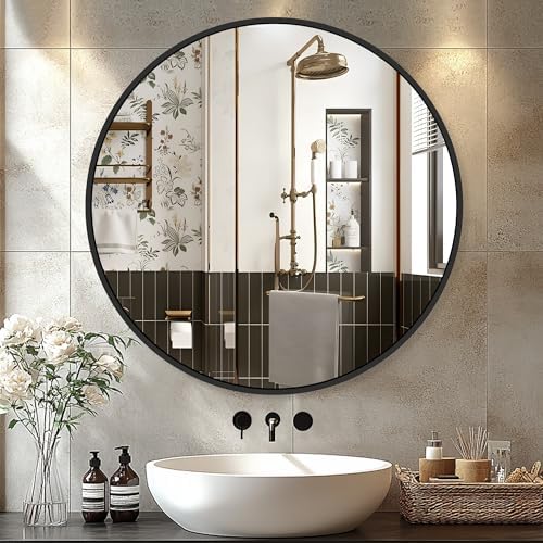 Delma 22 Inch Black Round Circle Mirror by Delma