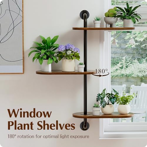 Rotating Window Plant Shelves 3-Tier, Wooden Window Shelf - Image 3