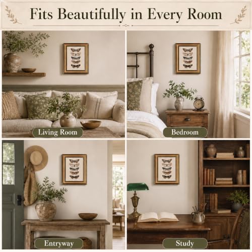 Gold Framed Wall Art, Vintage Moth Canvas Prints – Antique Moth & Butterfly - Image 6