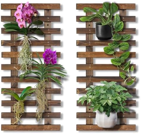 Mulctun 2 Pcs Wall Planters by Unknown