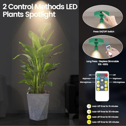 HAMVIDNE LED Spotlights Indoor, Rechargeable Battery Picture Display Lights - Image 3