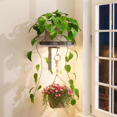 iDavosic.ly Plant Wall Hanger by iDavosicly