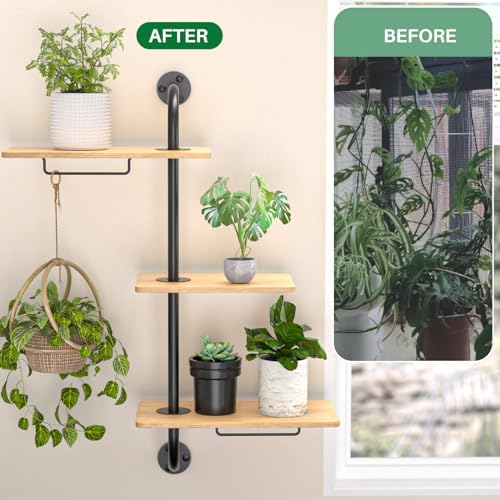 YUOROS 3-Tier Window Plant Shelves - Image 5