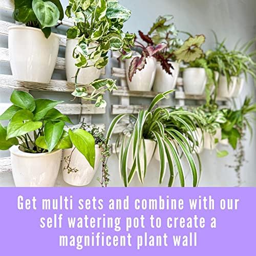 ShopLaLa Wooden Wall Planter - Image 6
