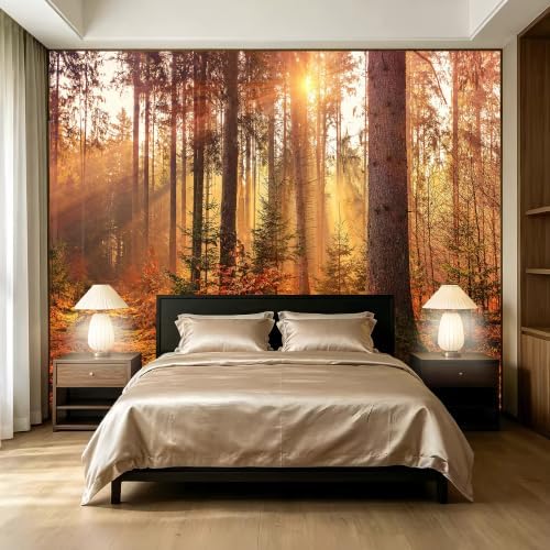 Autumn Sunshine Forest Realistic Style wall murals Woodland Tree Peel and Stick by SIDIANYA