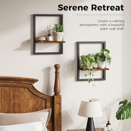 Bamworld Wall Plant Holder Hanging Planters - Image 4