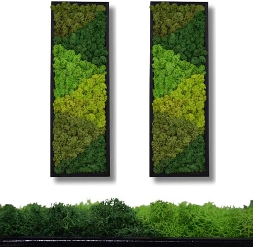 Large Moss Pattern Wall Art, Eco-Friendly Natural Green Wall Decor|Set of 2 - Image 3