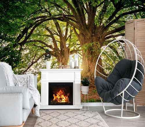 XMPMBM-Sunshine Forest backsplash Decorative Wallpaper Large Tree Bedroom - Image 2