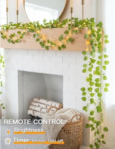 suddus 33FT Watermelon Vines - Image 4